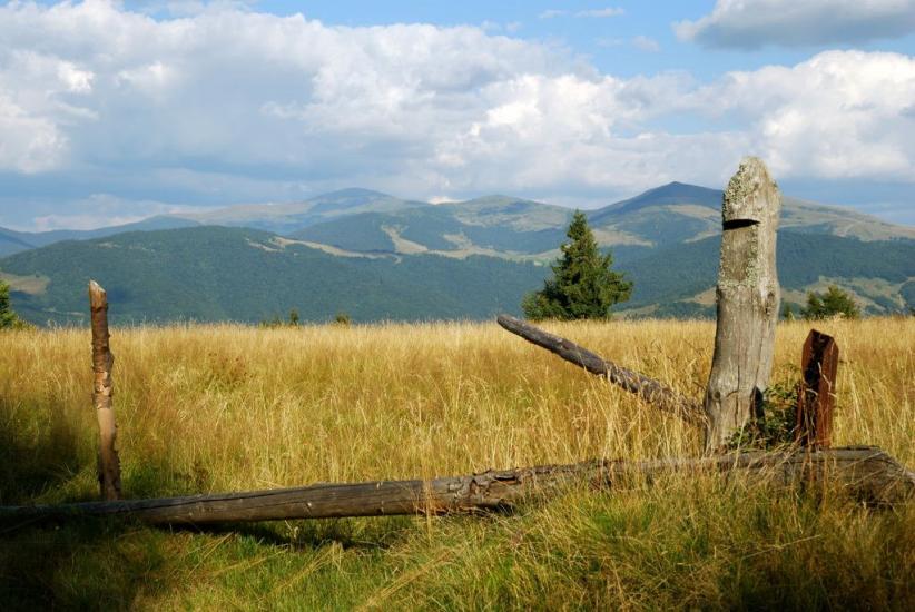 Кваси з panoramio.com - Квасы