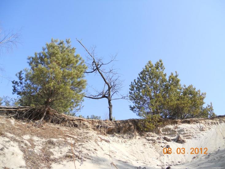 Турійськ з panoramio.com - Турийск