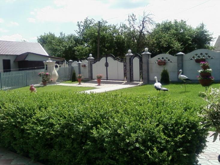 Купка з panoramio.com - Купка