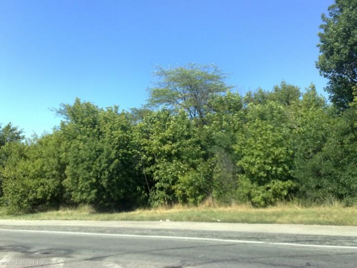 Балабине з panoramio.com - Балабине