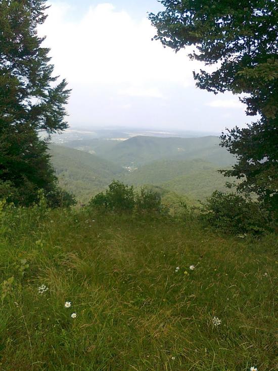 Розтоки з panoramio.com - Розтоки