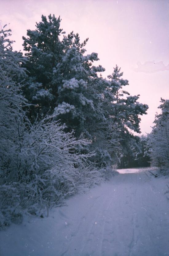 Любомль з panoramio.com - Любомль