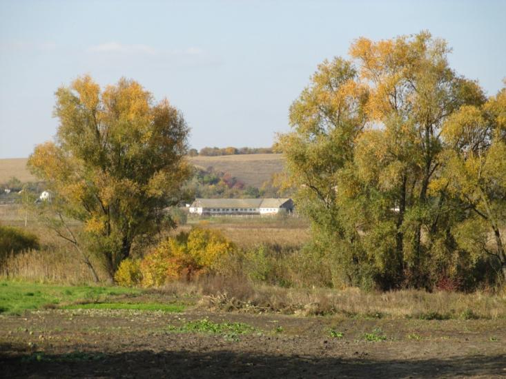 Лаврики з panoramio.com - Лаврики