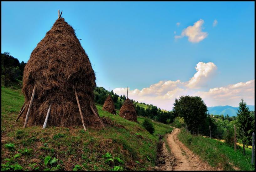 Хорови з panoramio.com - Хоровы