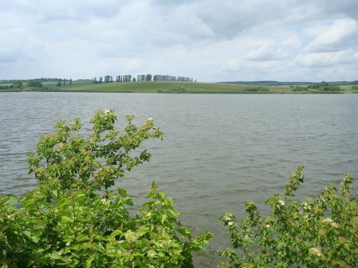 Стуфчинці з panoramio.com - Stufchyntsi