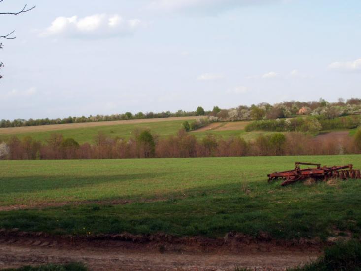 Любомирівка з panoramio.com - Любомировка