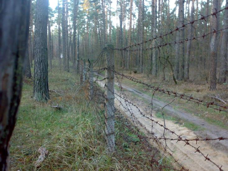 Княжичі з panoramio.com - Княжичи
