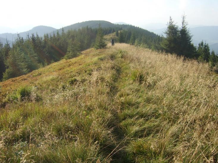 Мислівка з panoramio.com - Мислівка