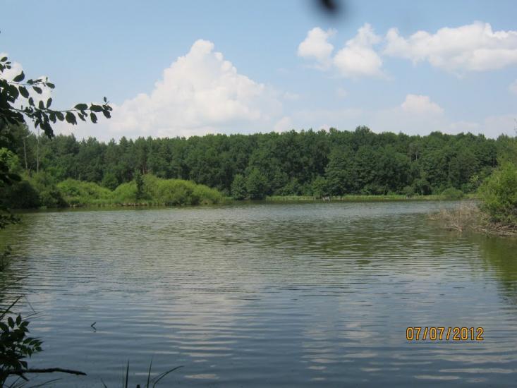 Комунарівка з panoramio.com - Комунарівка