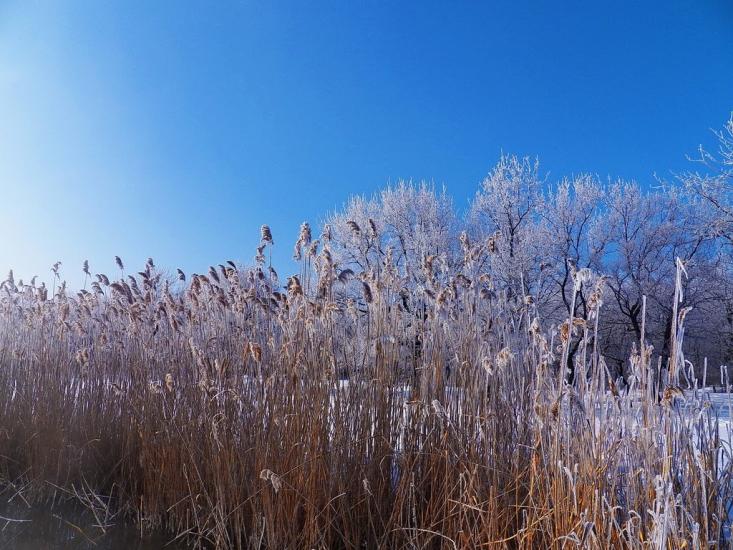 Юнокомунарівськ з panoramio.com - Юнокомунаровск