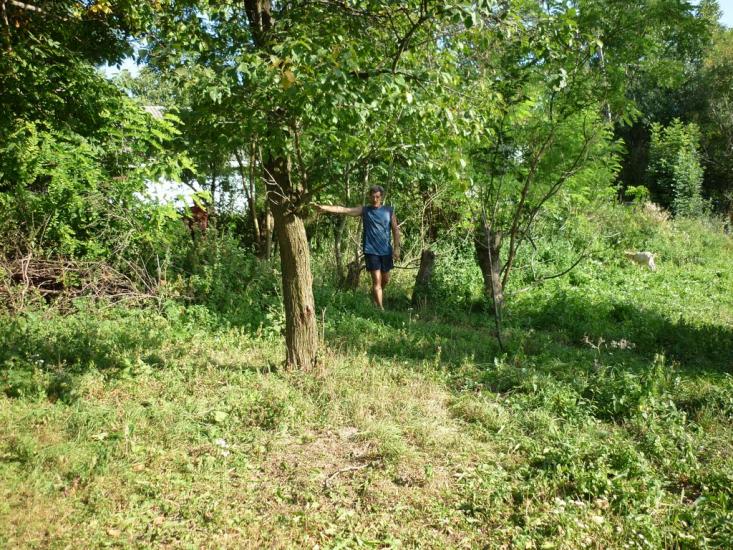 Любомирівка з panoramio.com - Любомировка
