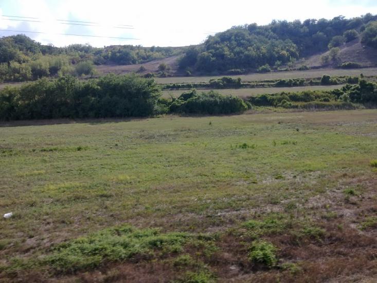Холмівка з panoramio.com - Холмовка