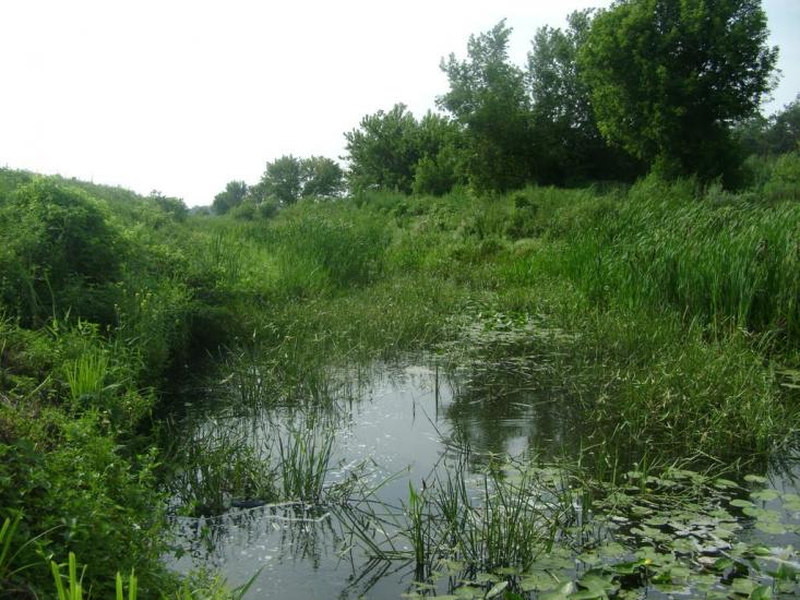 Березань з panoramio.com - Berezan