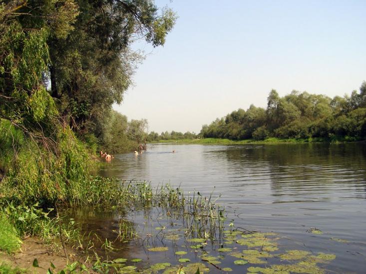 Снов'янка з panoramio.com - Сновянка