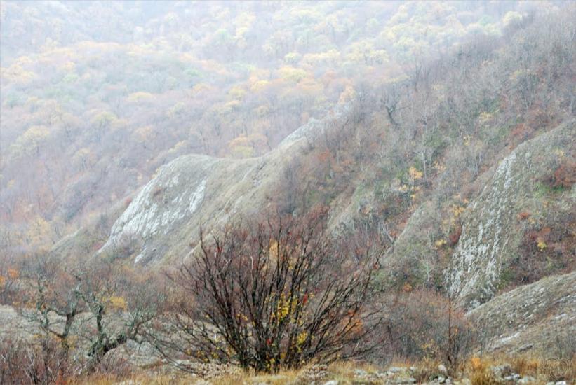 Міжріччя з panoramio.com - Междуречье
