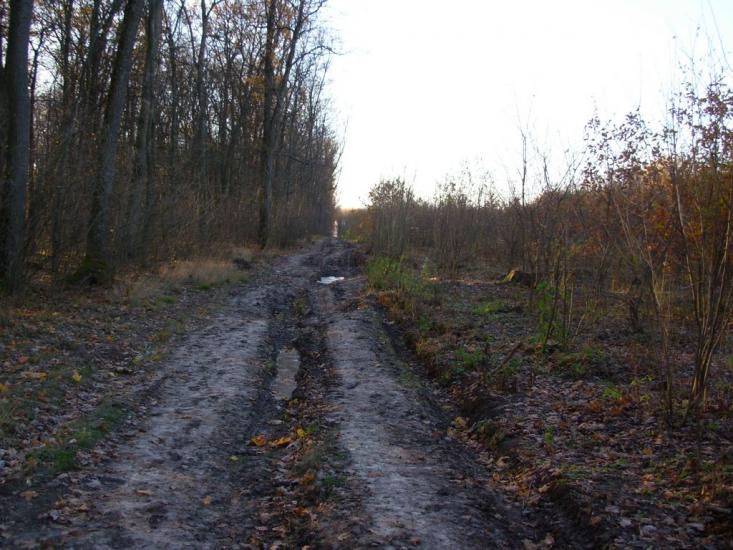 Старий Мерчик з panoramio.com - Старий Мерчик