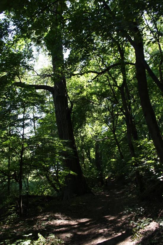 Велика Бурімка з panoramio.com - Великая Буромка