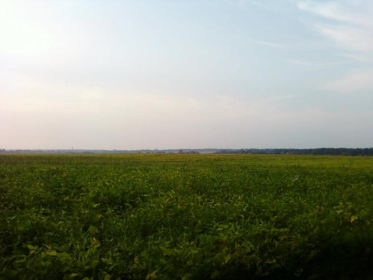 Сальник з panoramio.com - Сальник