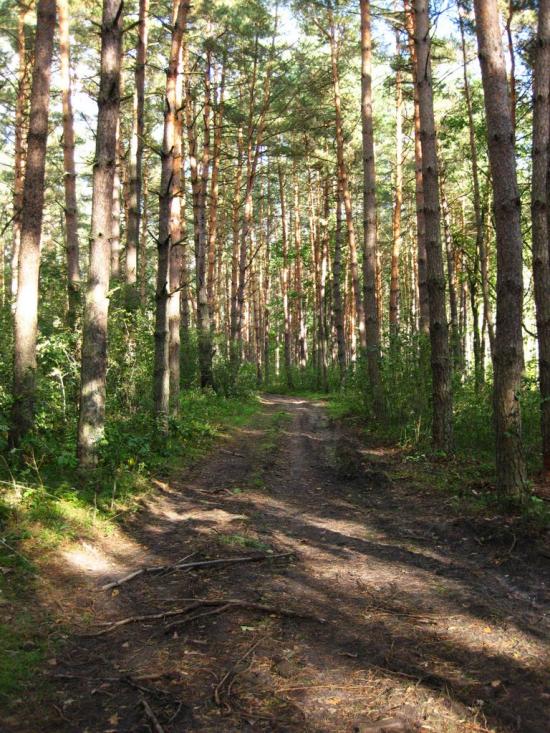 Великі Мости з panoramio.com - Великі Мости