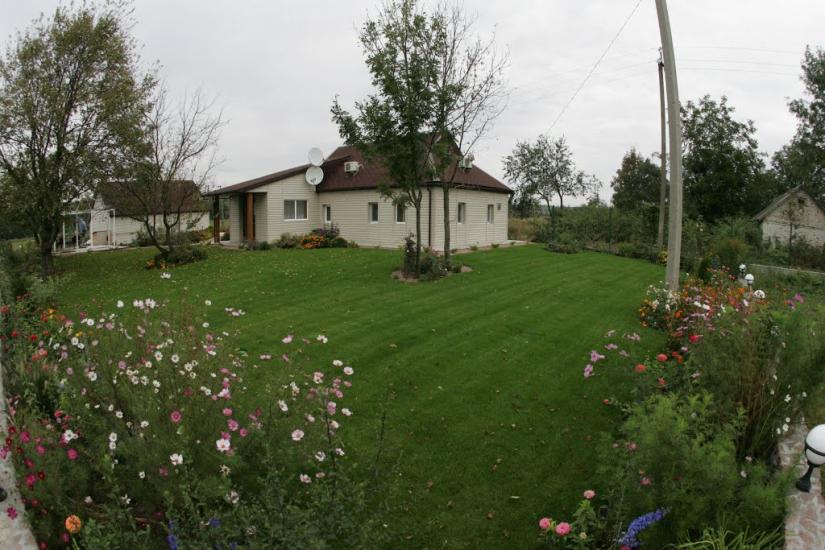 Синиця з panoramio.com - Синица