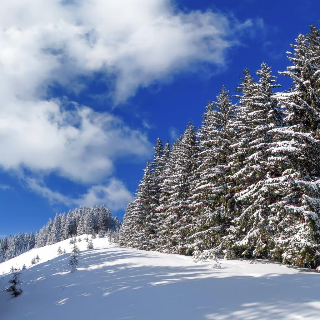 Бистрець з panoramio.com - Быстрец