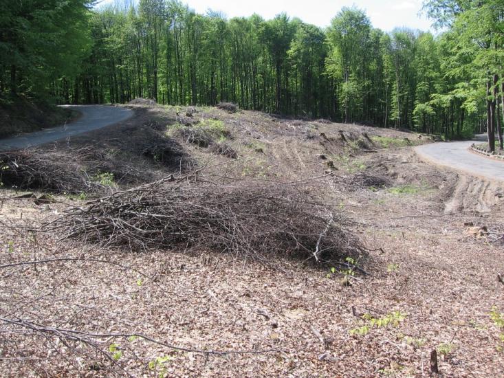 Яблунівка з panoramio.com - Яблоновка