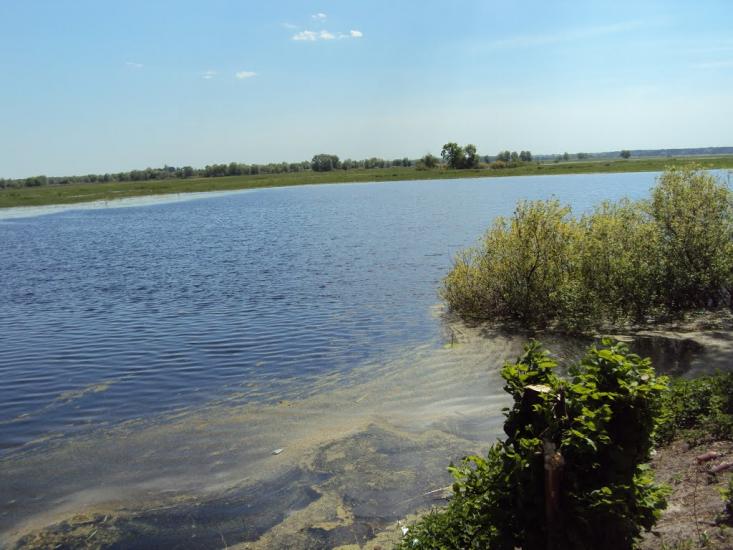 Карпилівка з panoramio.com - Карпилівка