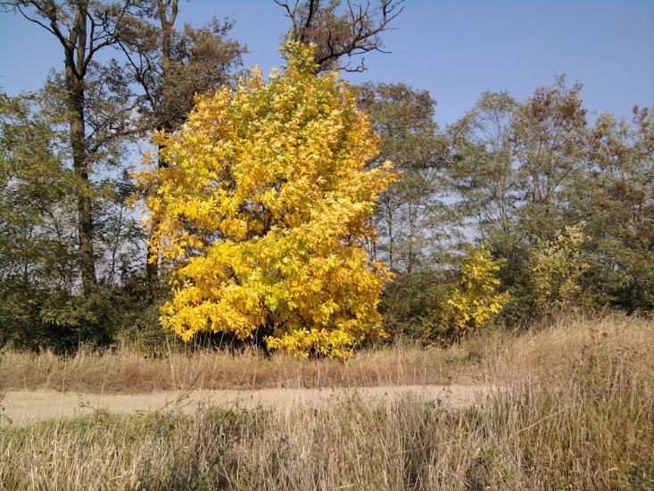 Попово з panoramio.com - Попово