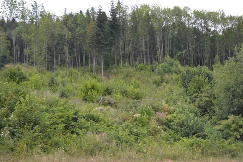 Мигове з panoramio.com - Мигово