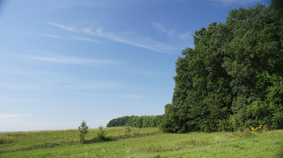 Борщівка з panoramio.com - Борщівка