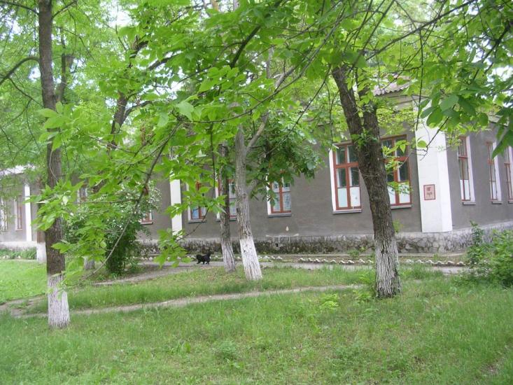 Зуя з panoramio.com - Зуя