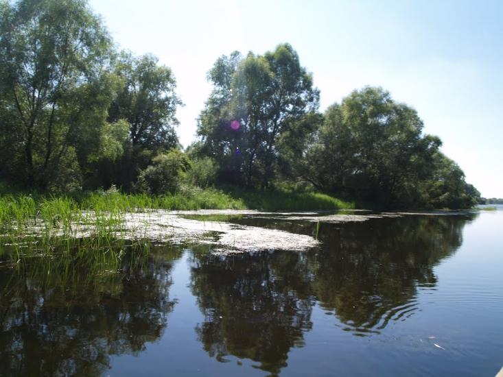 Хрещатик з panoramio.com - Крещатик