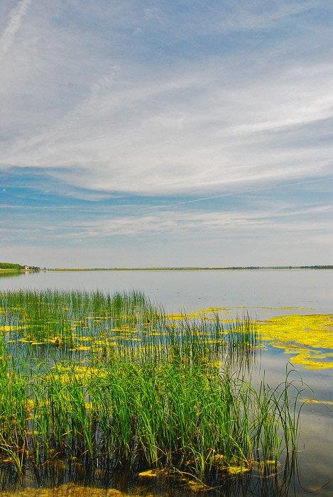 Ювілейне з panoramio.com - Yuvileyne