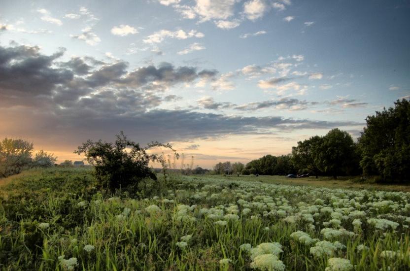Великодолинське з panoramio.com - Великодолинське