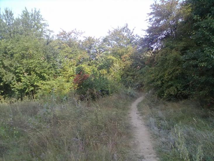 Сиротенки з panoramio.com - Сиротенки