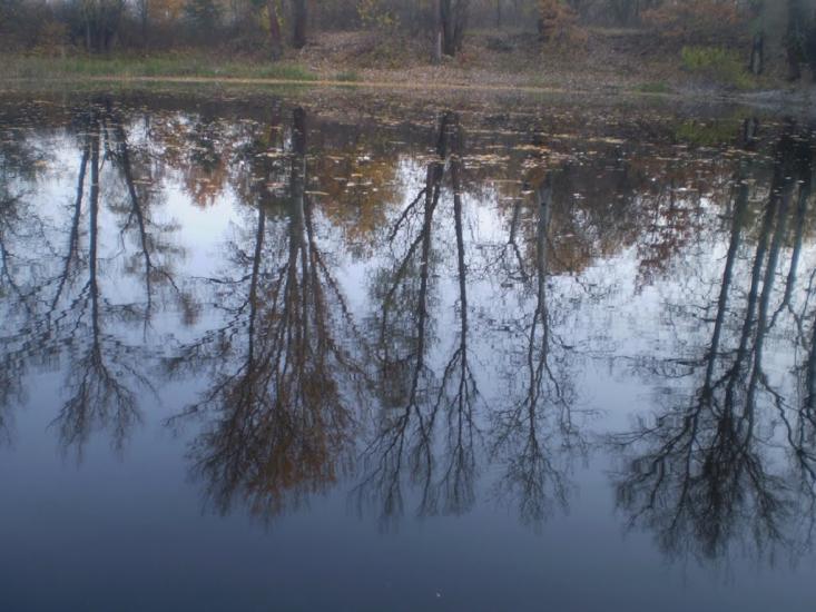 Кобеляки з panoramio.com - Кобеляки