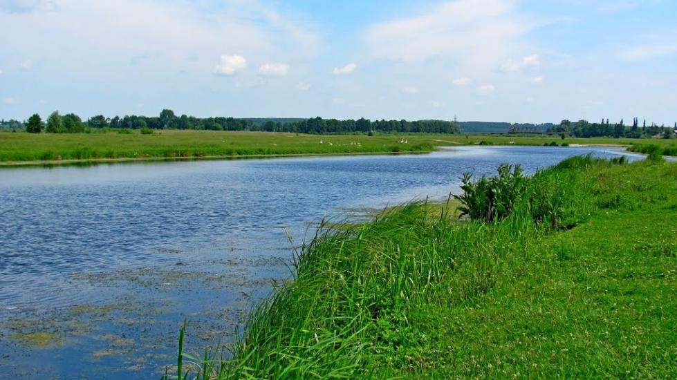 Ремчиці з panoramio.com - Ремчиці