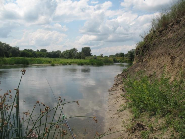 Синичине з panoramio.com - Синичине