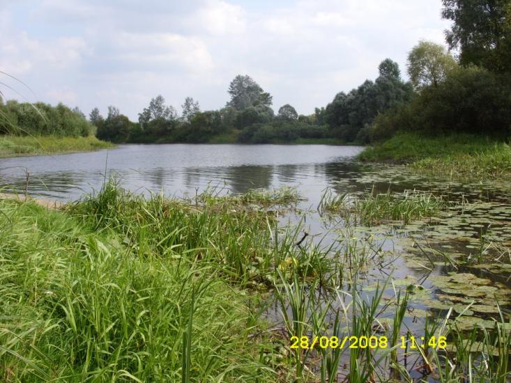 Снов'янка з panoramio.com - Snovyanka