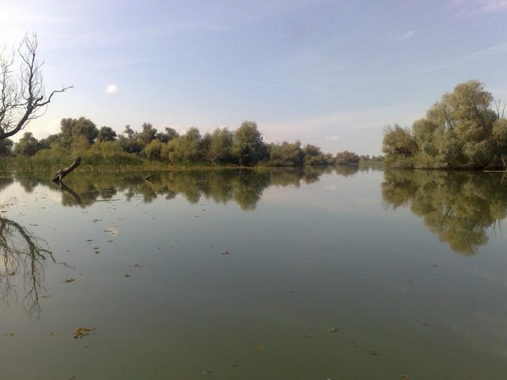 Дунайське з panoramio.com (ч.2) - Дунайське