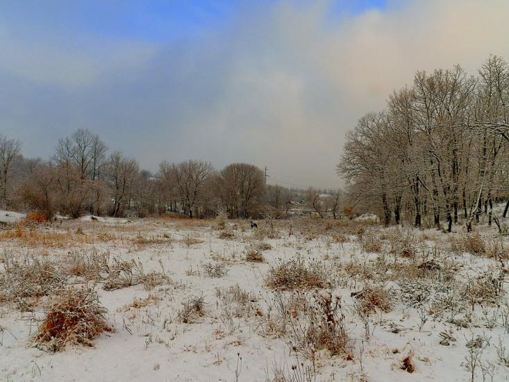Булавинське з panoramio.com - Булавинське
