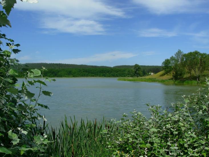 Бірки з panoramio.com - Бірки