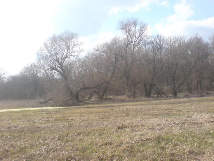 Гельмязів з panoramio.com - Гельмязів
