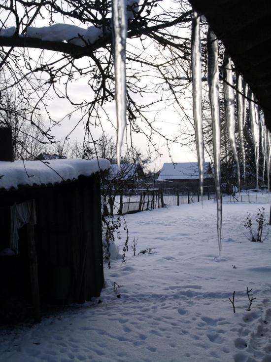 Ріпки з panoramio.com - Ріпки