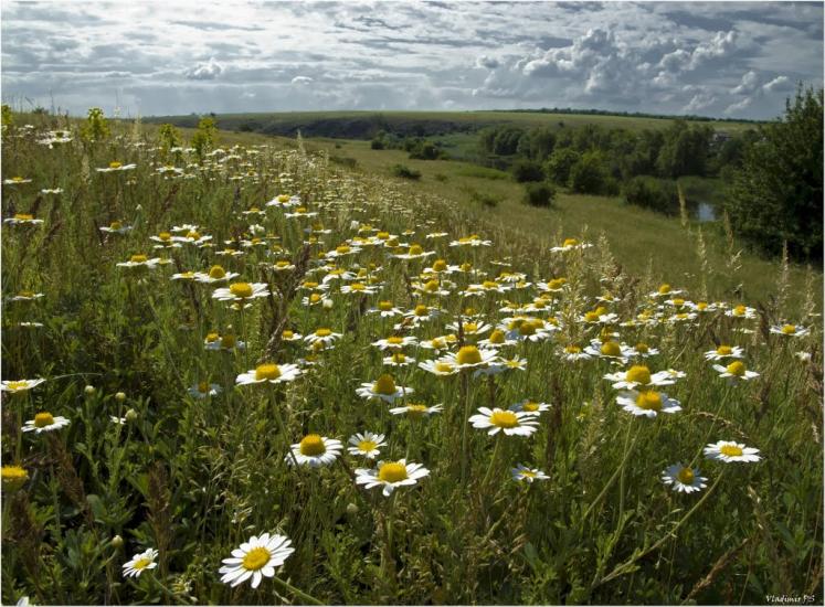 Недайвода з panoramio.com - Недайвода
