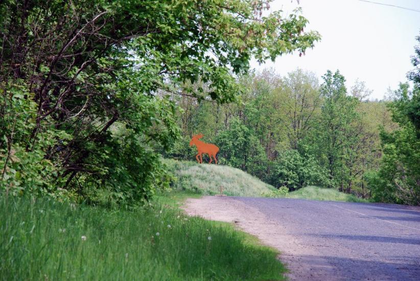 Городнє з panoramio.com - Городнее