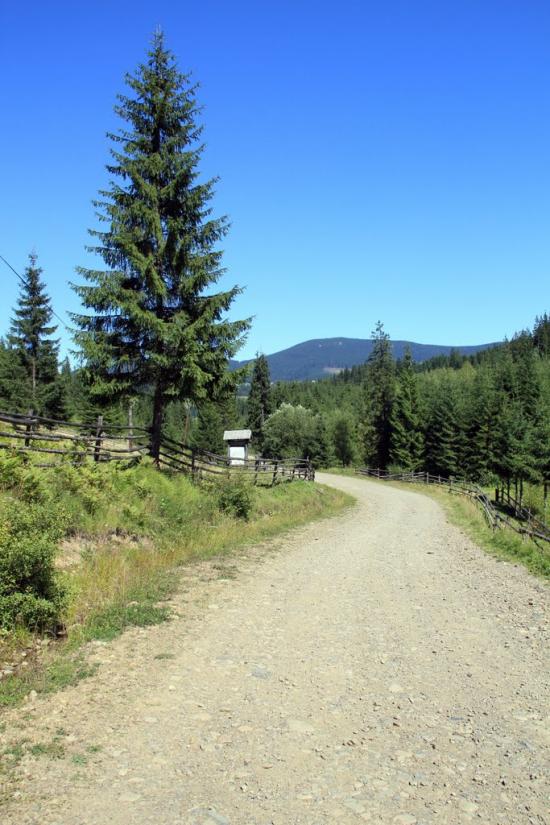 Сенечів з panoramio.com - Сенечев