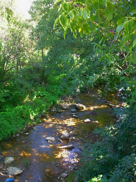 Плотинне з panoramio.com - Плотинное