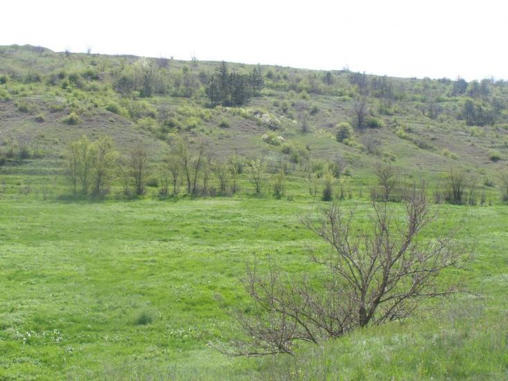 Широке з panoramio.com - Широкое