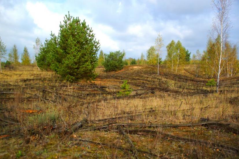 Жирки з panoramio.com - Жирки